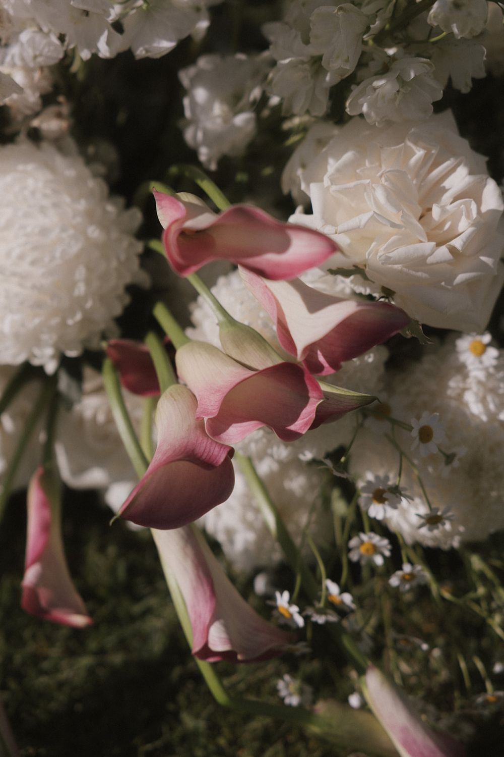 Soft pink calla lilies and white peonies arranged with delicate daisies in a moody, romantic garden setting.
