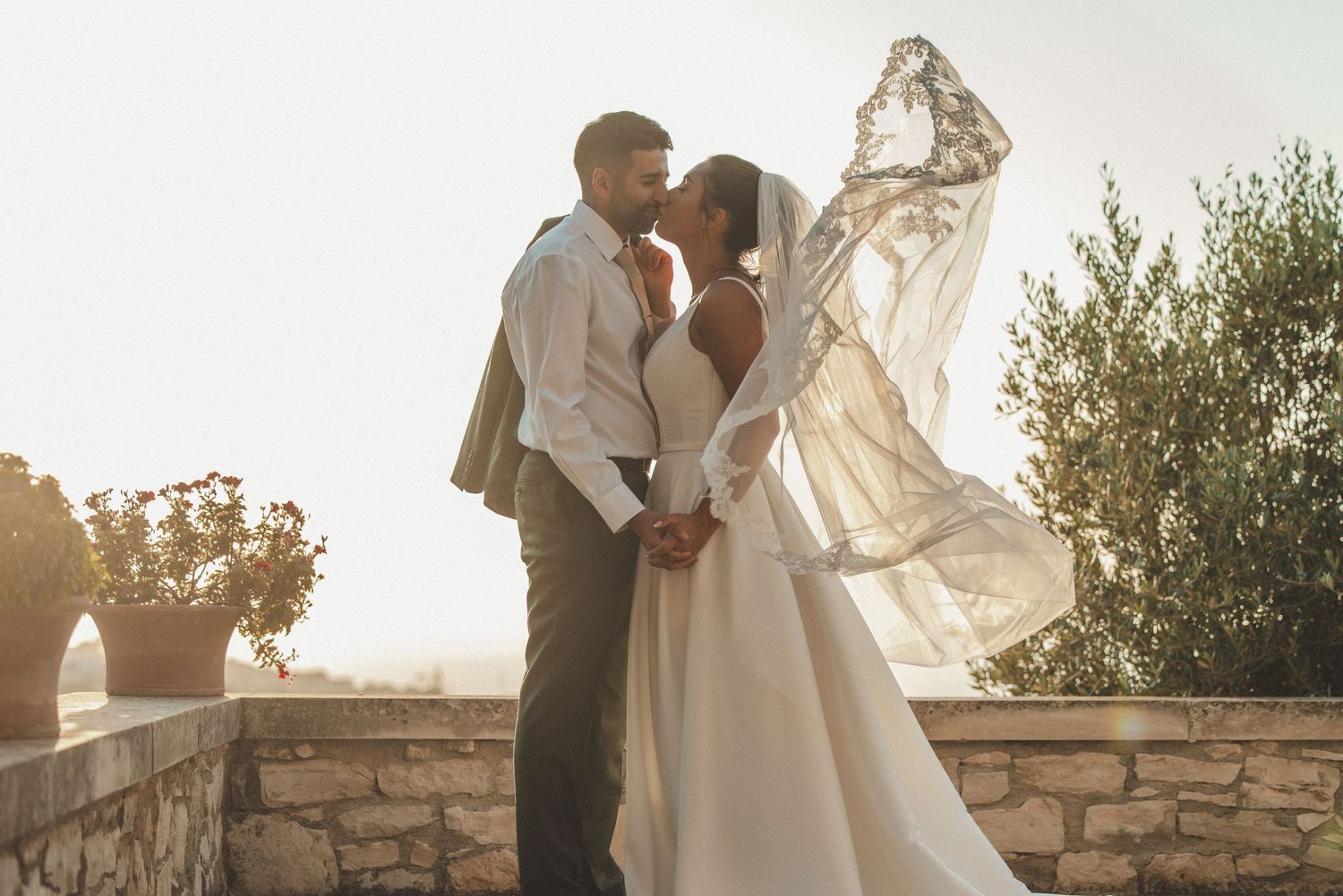 Couple sharing romantic moment among olive trees during sunset photoshoot.