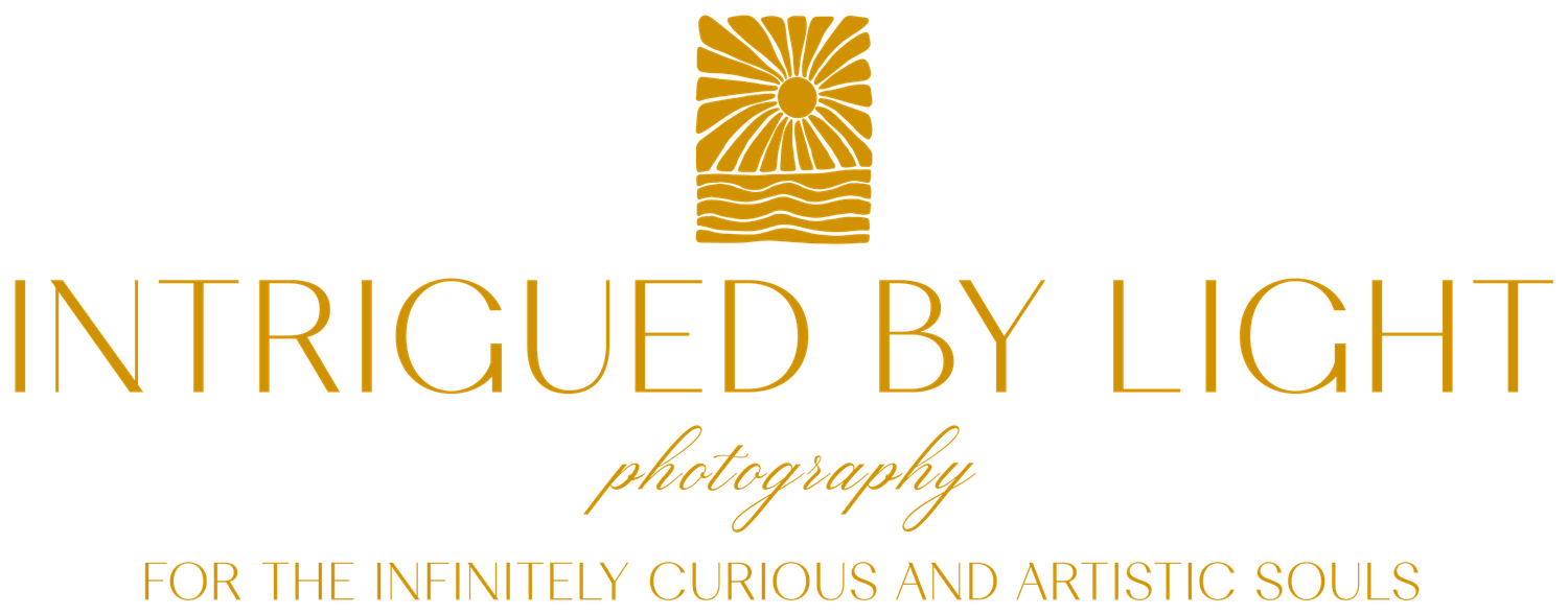Intrigued by Light LLC company logo.