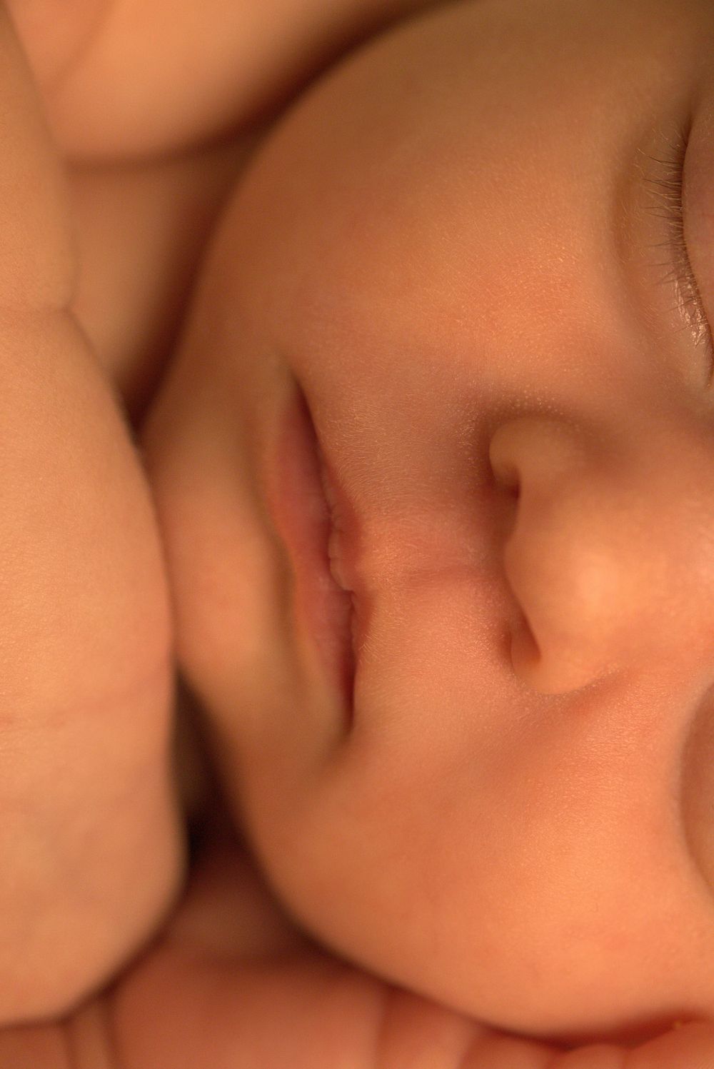 Close-up detail of sleeping newborn with soft lighting.