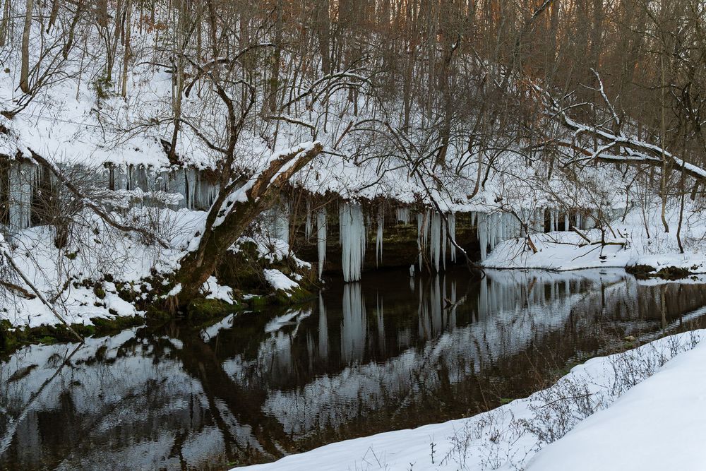 Icicles and snow blanket a serene winter creek scene with bare trees reflecting in dark still water. Crane Missouri
