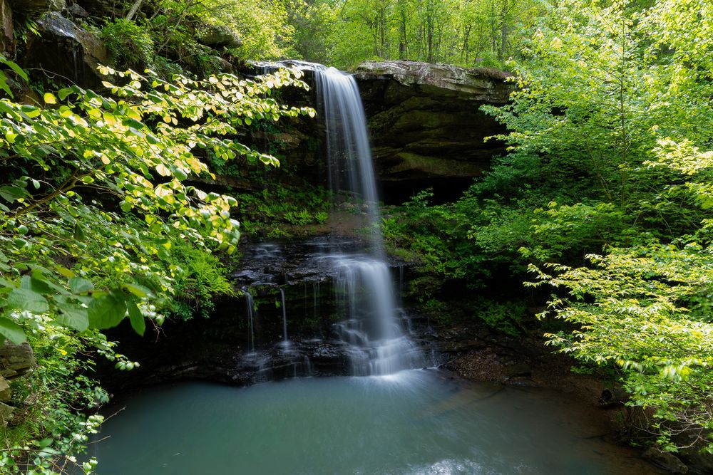 A serene waterfall cascades over mossy rocks into a calm pool surrounded by lush greenery. Fern Falls Northwest Arkansas