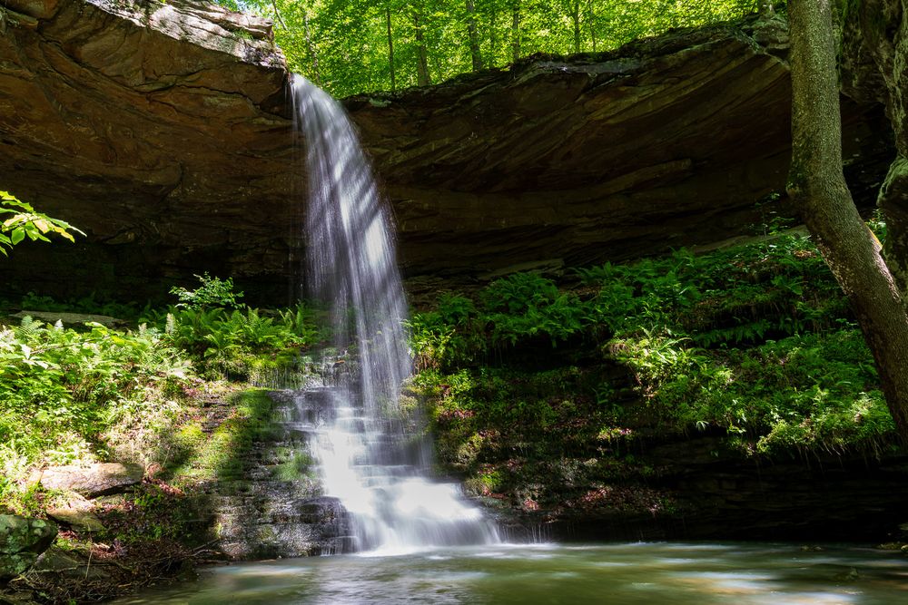 Sunlit Thousand Kisses waterfall flowing beneath a natural rock overhang into a peaceful stream in a green forest. Whitaker Hawksbill Crag