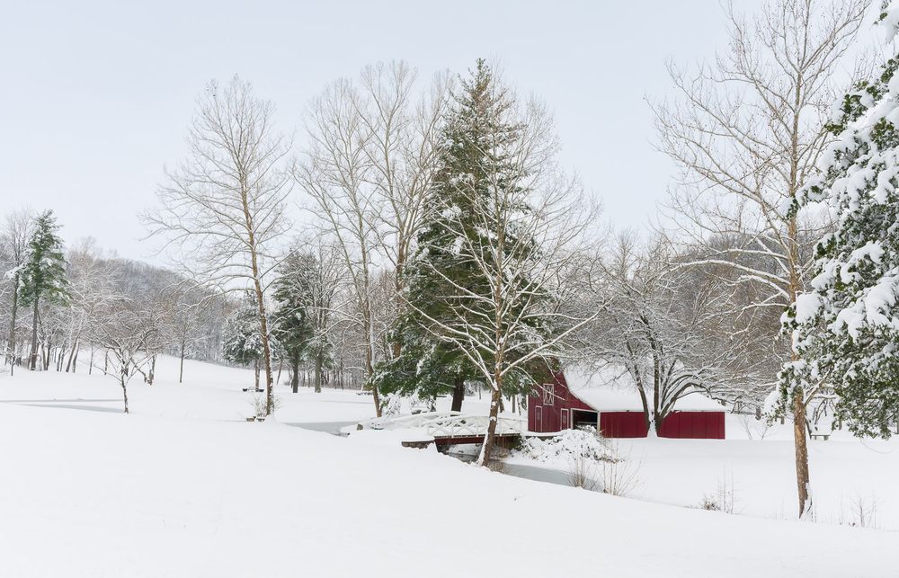 A red barn nestled among snow-covered trees in a peaceful winter landscape with deep white snowfall. Turners Missouri