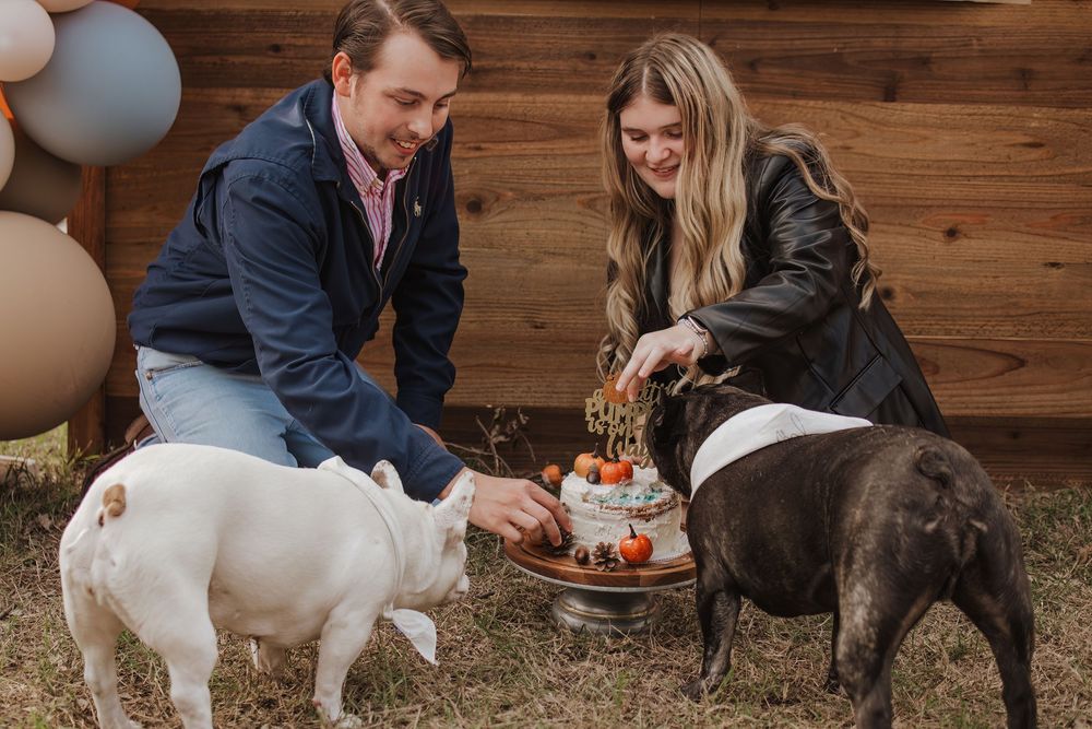 Two people and their dogs celebrate with a decorated cake in front of a rustic wooden wall with balloons.