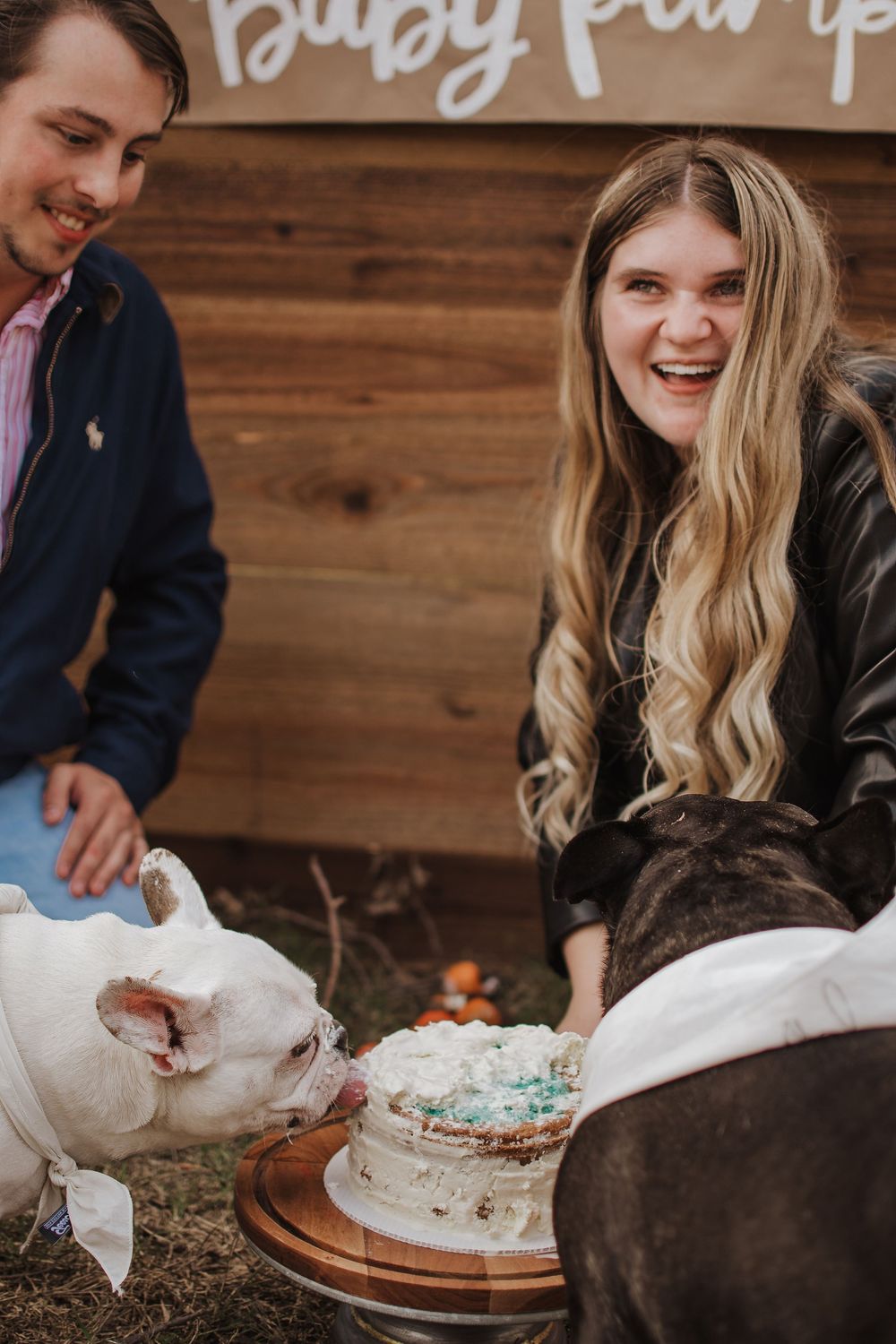 A pair of dogs sharing a cake at an outdoor party with their owners enjoying the celebration against a wooden wall.