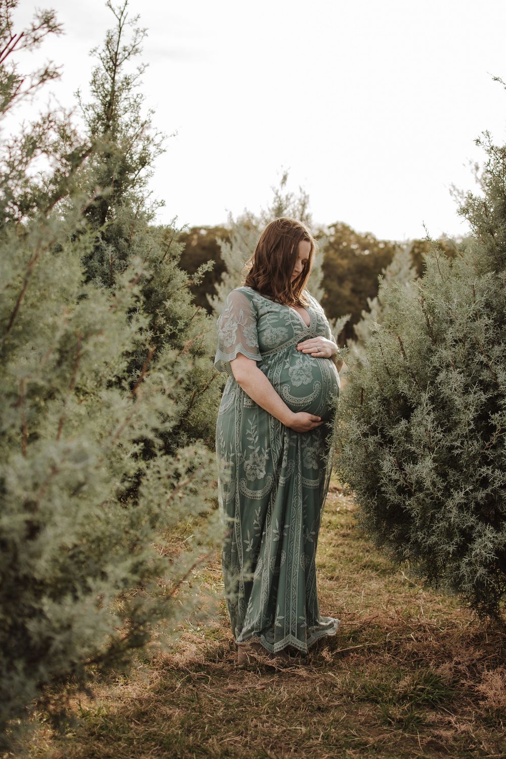 An expecting mother in a flowing sage green dress stands between evergreen trees in a tranquil outdoor setting.