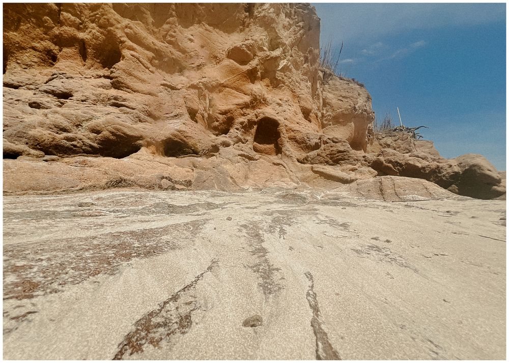 A sweeping panoramic view of a desert canyon with smooth sandstone formations and a winding path under blue sky.