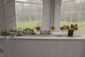 Decorative plants and flowers line a white windowsill at a wedding venue.