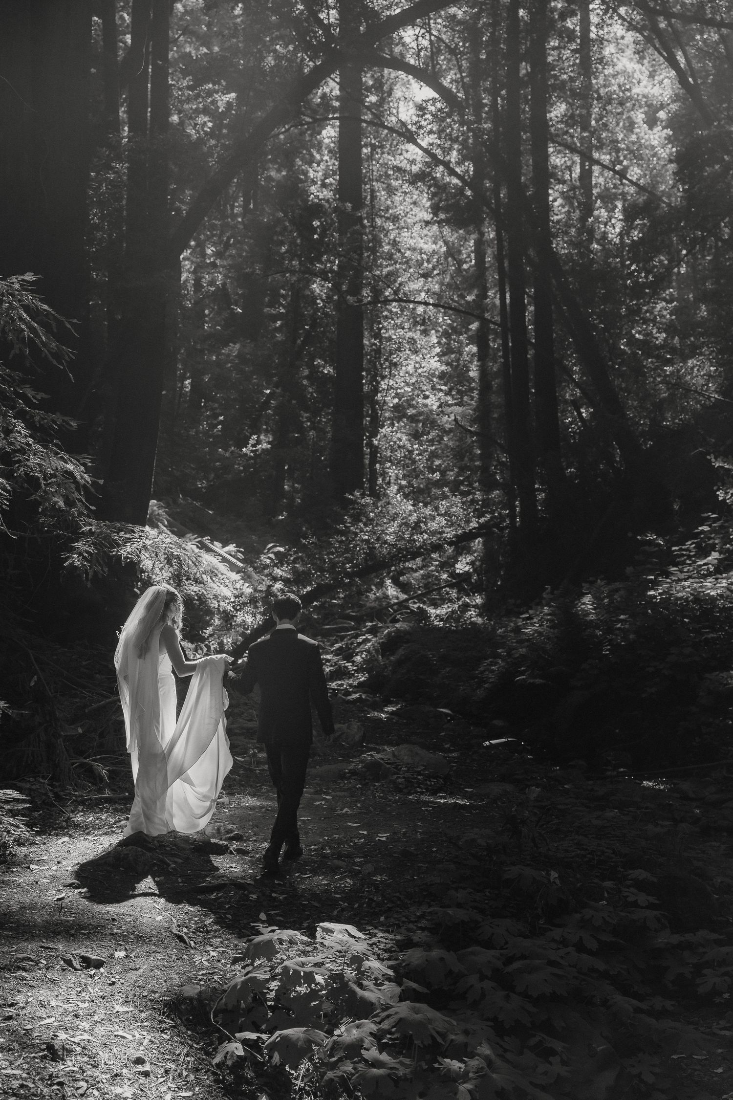 A couple walks along a misty forest path in black and white, with sunlight filtering through tall trees.