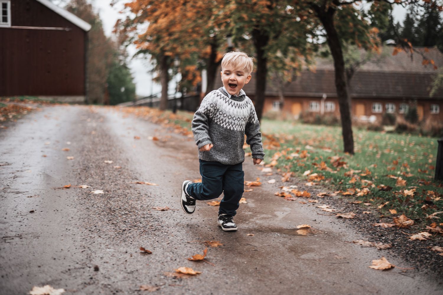 3-vuotias poika poseeraa syksyisellä pihalla liedossa. Taustalla paljon lehtiä ja vihreä nurmikko.