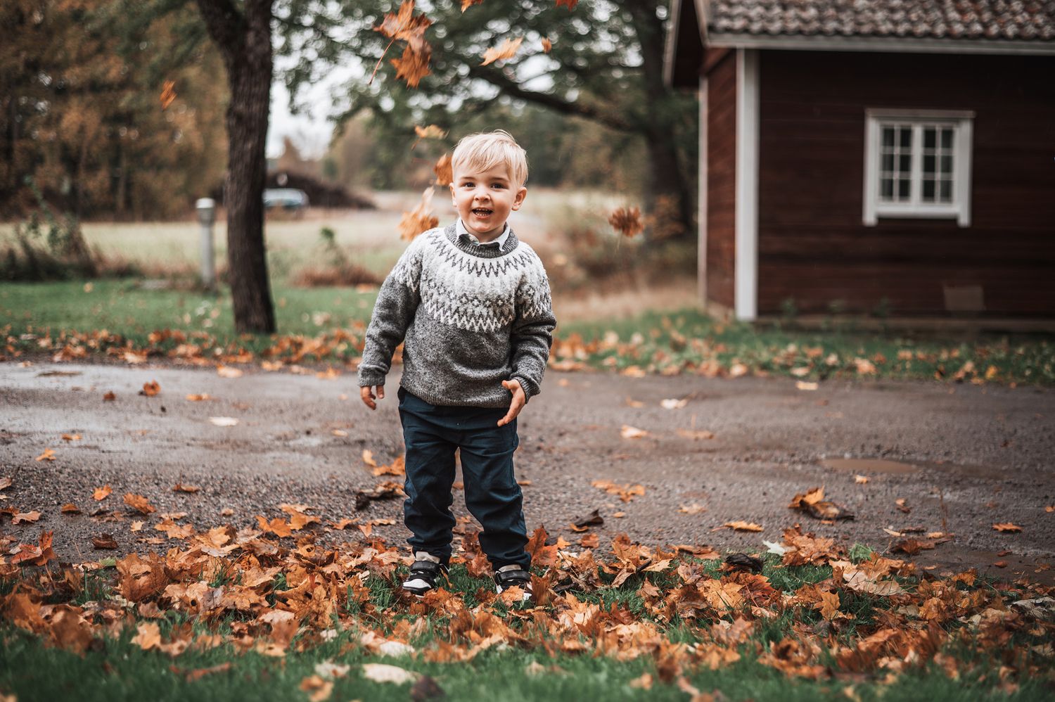 3-vuotias poika poseeraa syksyisellä pihalla liedossa. Taustalla paljon lehtiä ja vihreä nurmikko.