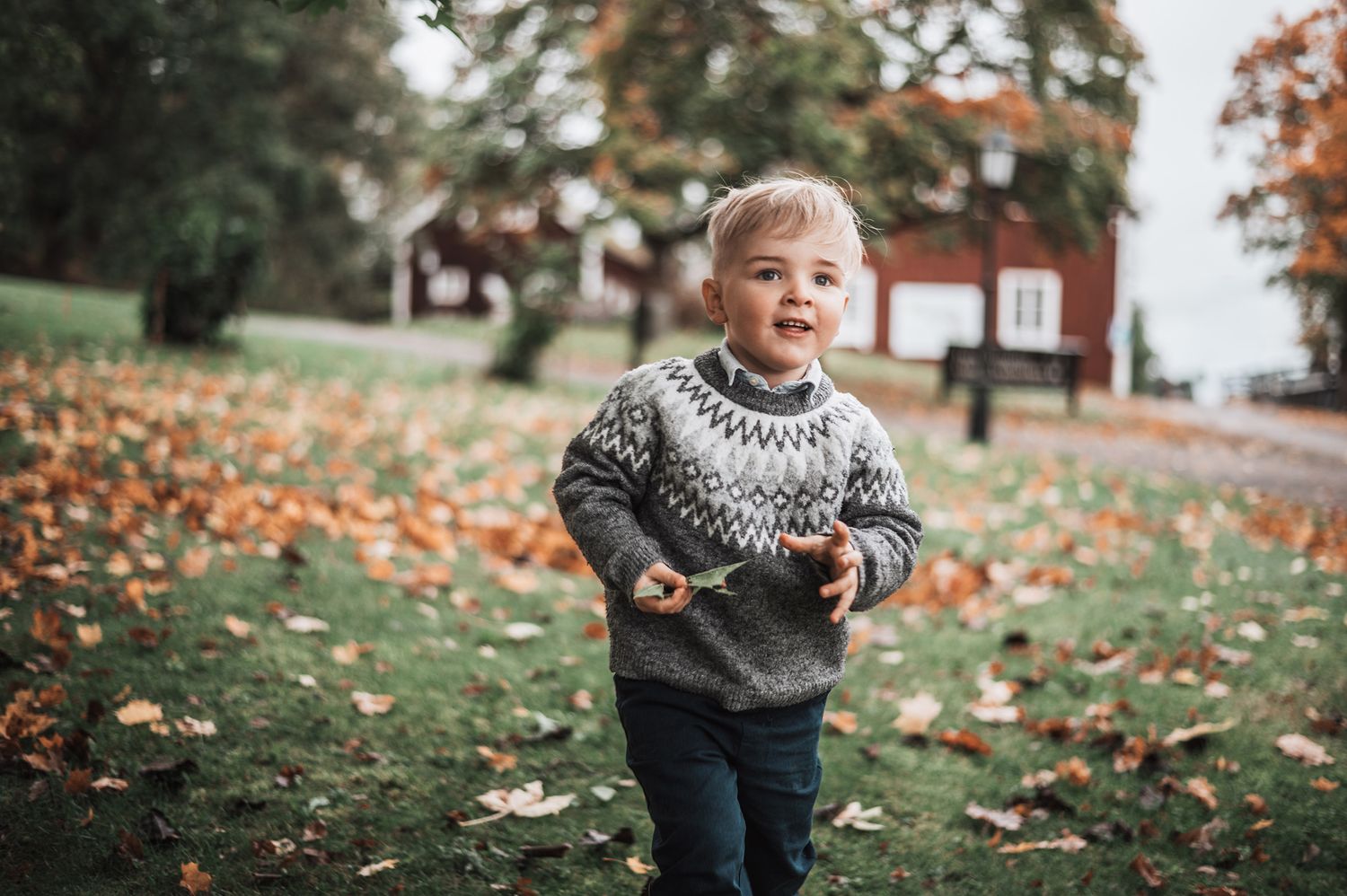 3-vuotias poika poseeraa syksyisellä pihalla liedossa. Taustalla paljon lehtiä ja vihreä nurmikko.