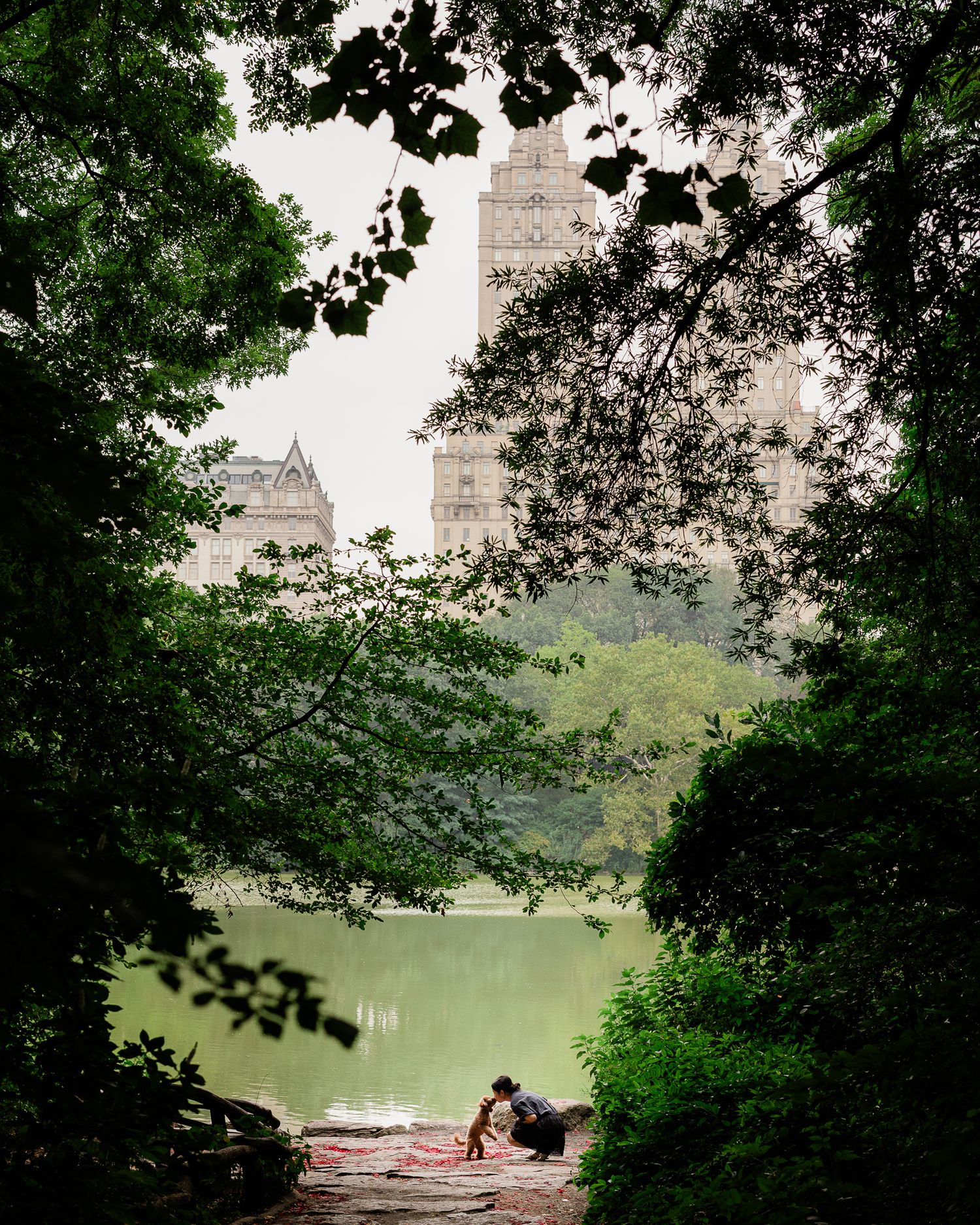 Central Park Dog Photography Session