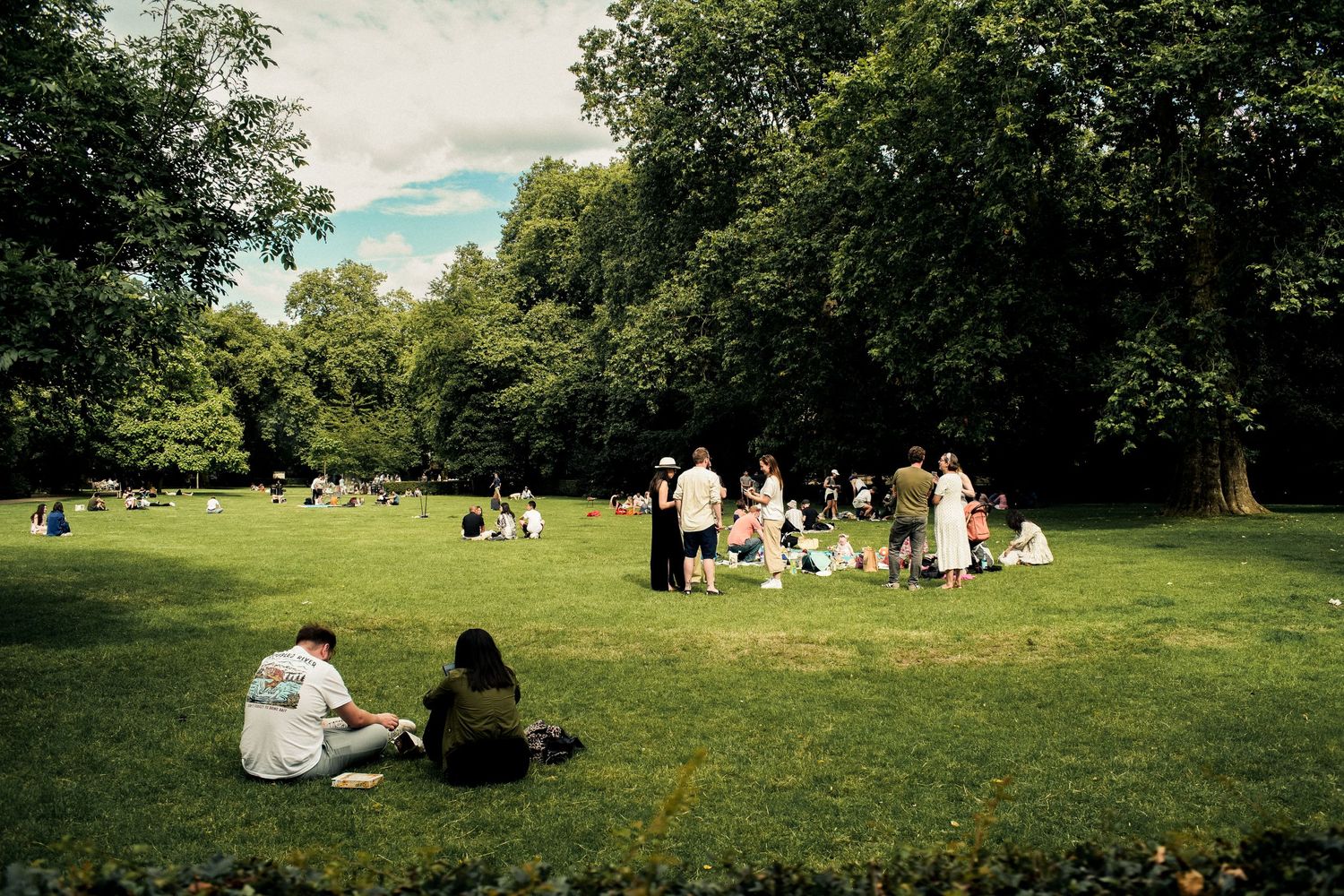 People gathered on a sunny green lawn in a park for leisure activities.