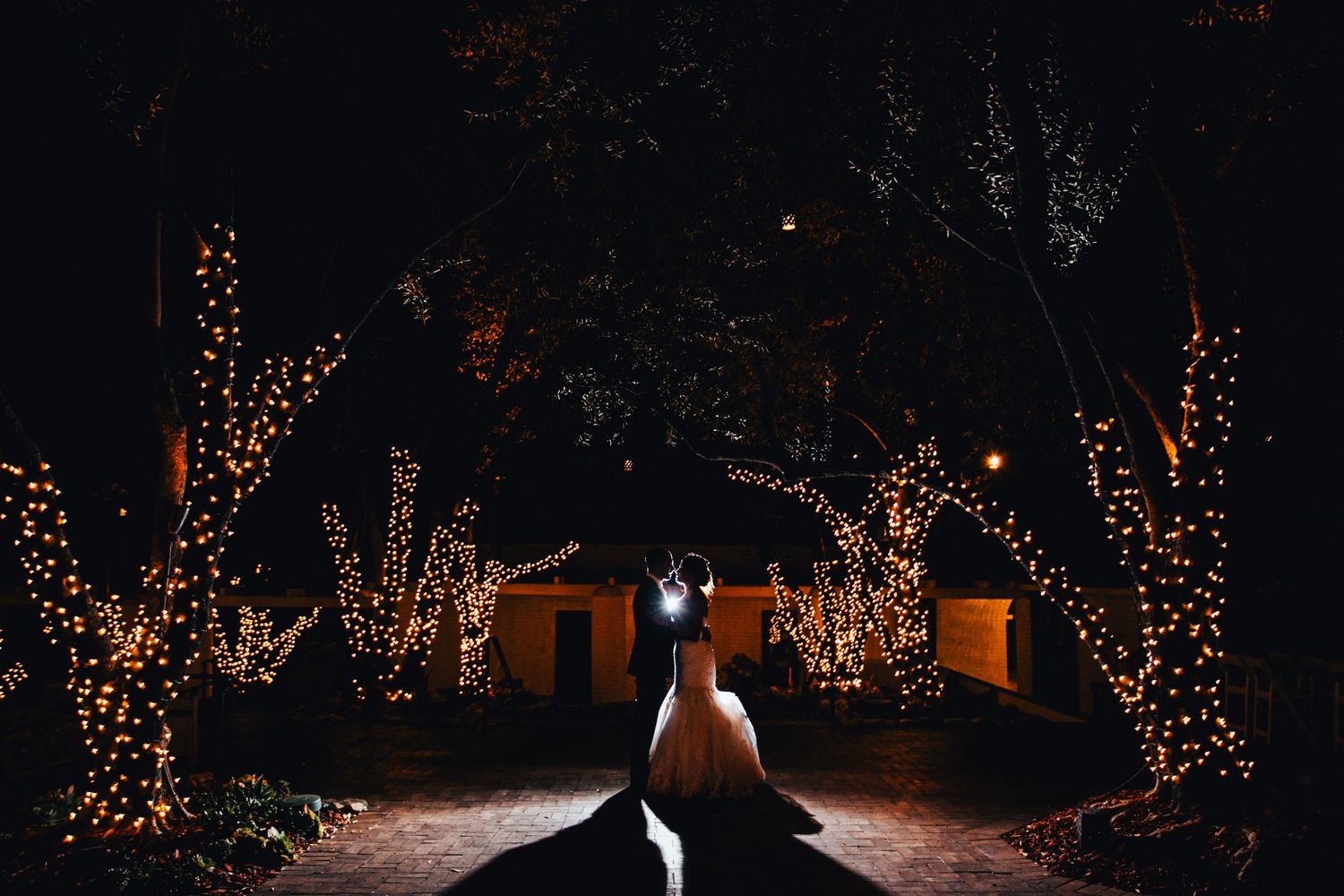 Trees illuminated with warm string lights create a magical nighttime walkway through a garden or park setting.