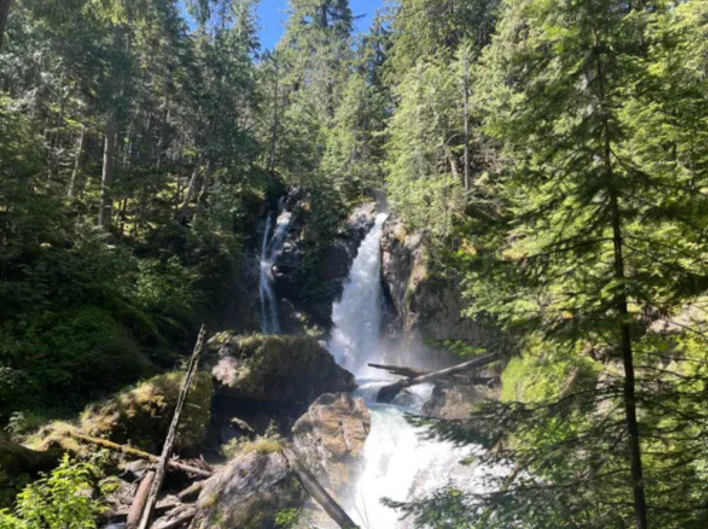 Begbie Falls in Revelstoke, BC surrounded by sunny evergreen trees
