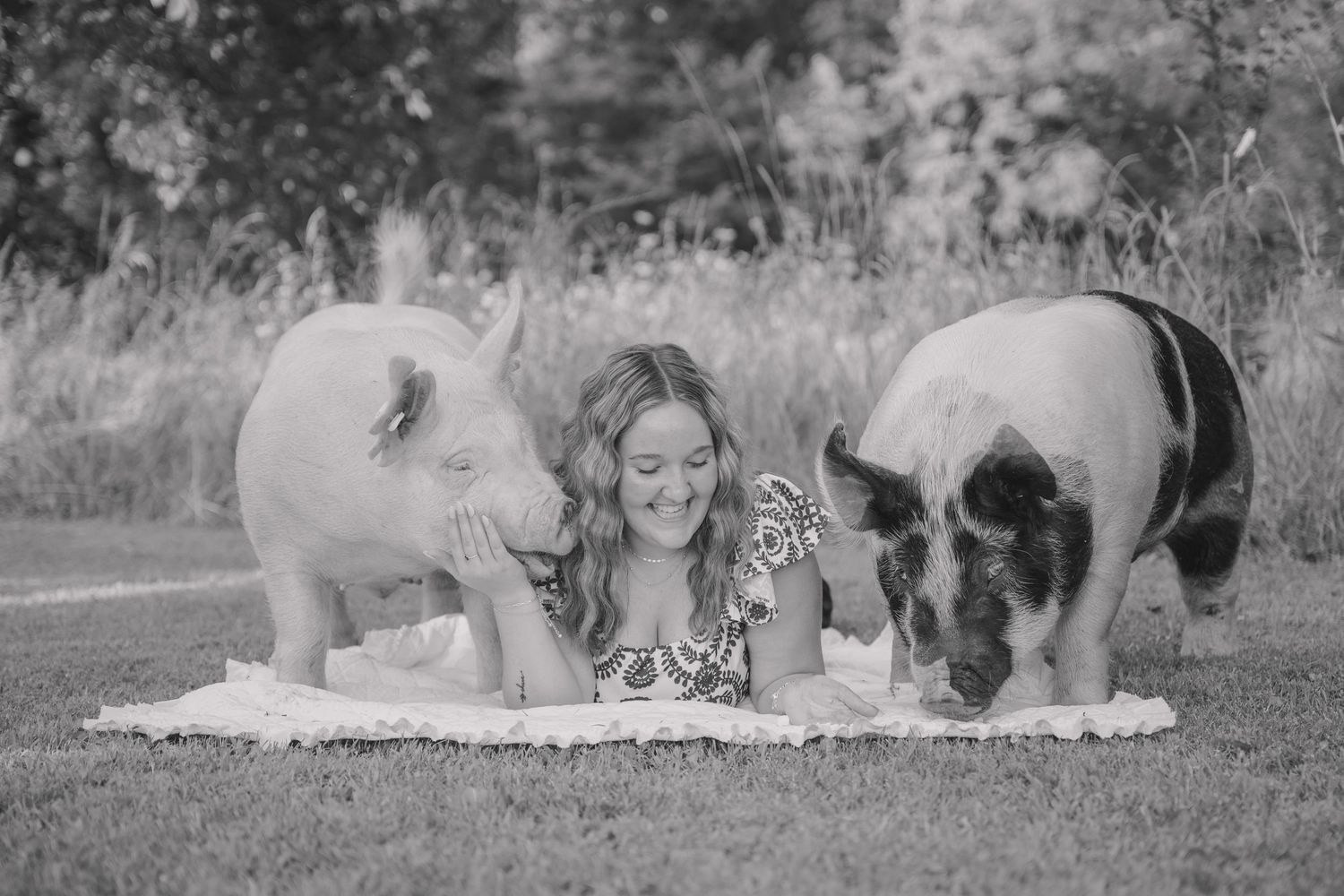 A series of black and white photographs showing dogs and people laying in grass together outdoors.
