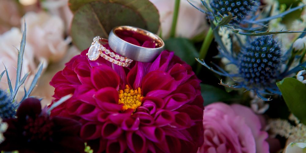 Wedding rings displayed on a vibrant pink dahlia flower with blue thistle in the background.
