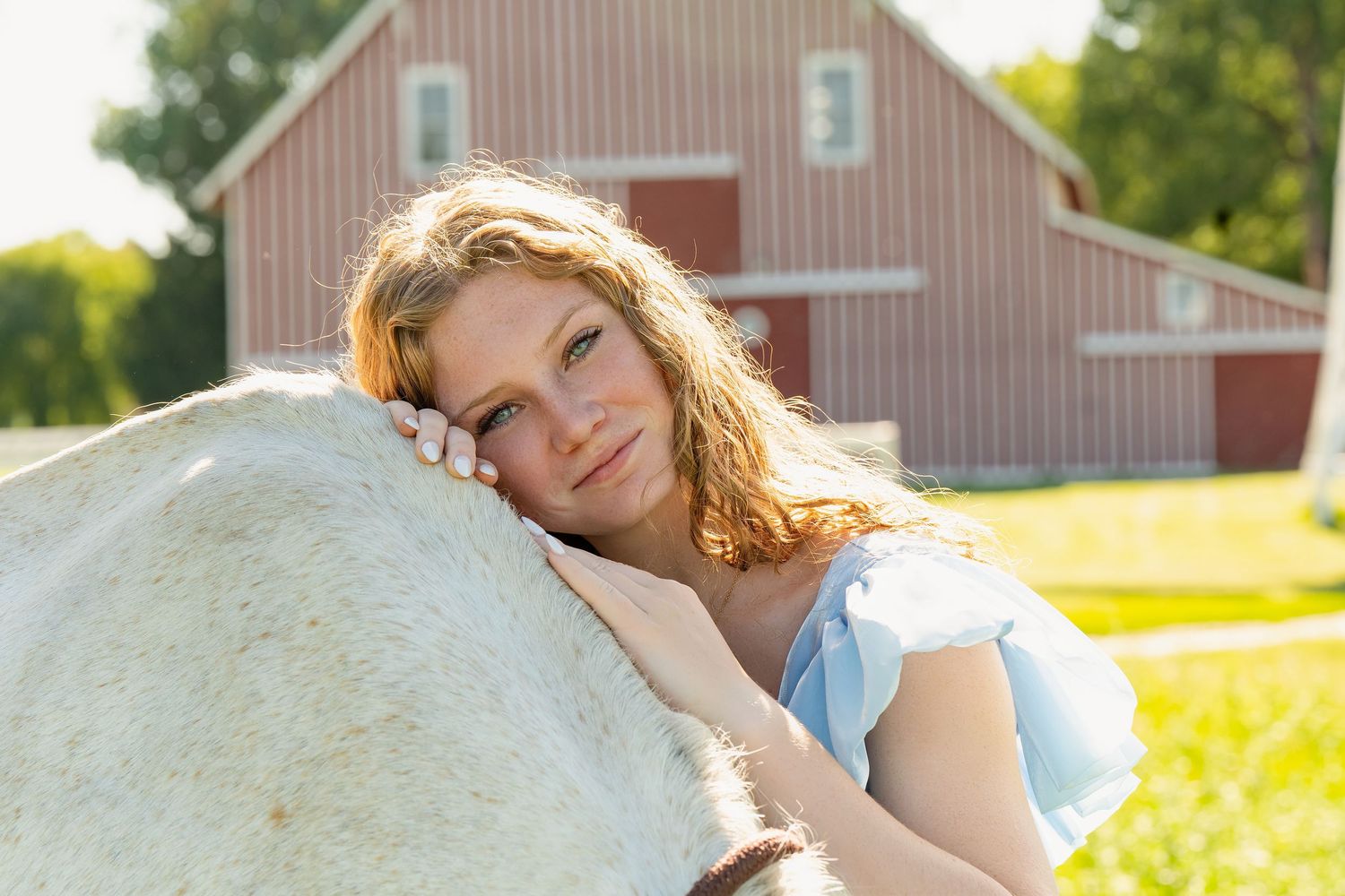 A peaceful summer scene with someone resting against a white horse in a sunlit field with a red barn in the background.
