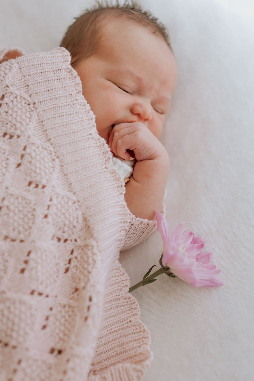 Lifestyle newborn photography in Glenview home studio on the Sunshine Coast.