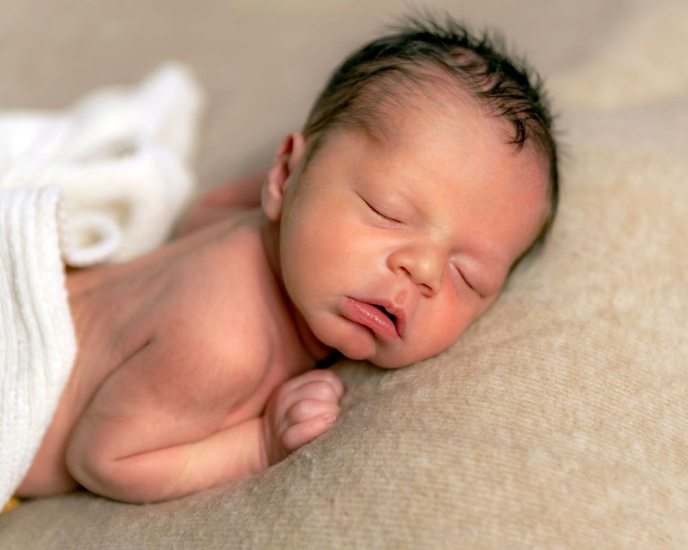 A newborn studio photograph