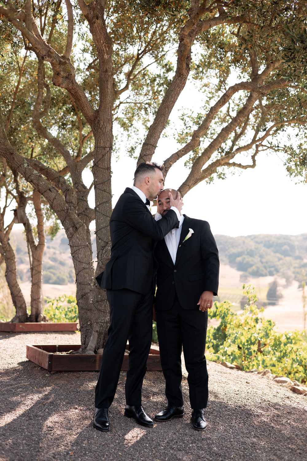 Three people in black tuxedos having a conversation under oak trees with rolling hills in the background.
