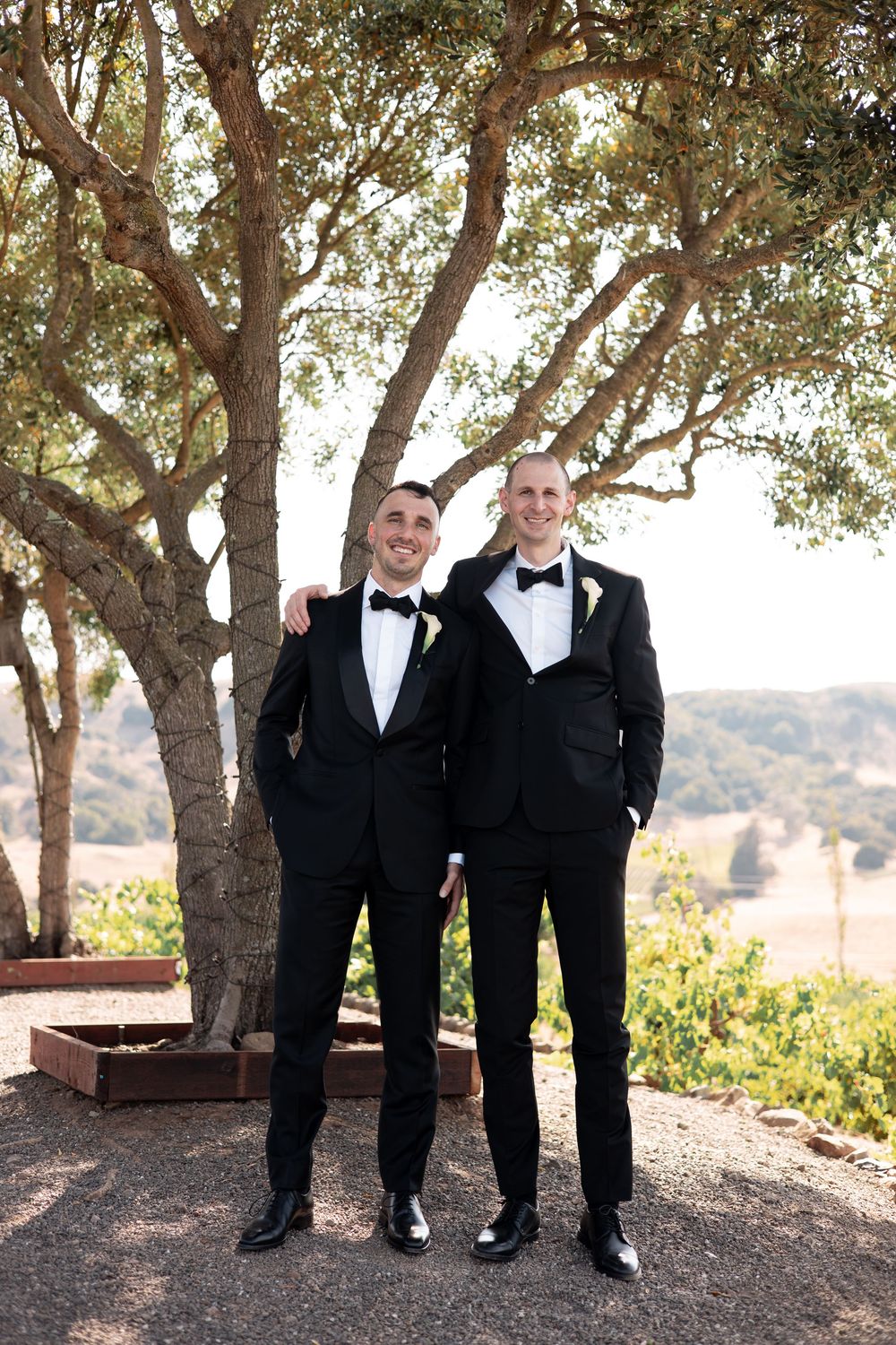 Two people in black tuxedos and bow ties stand together under a large tree on a hilltop scenic overlook.