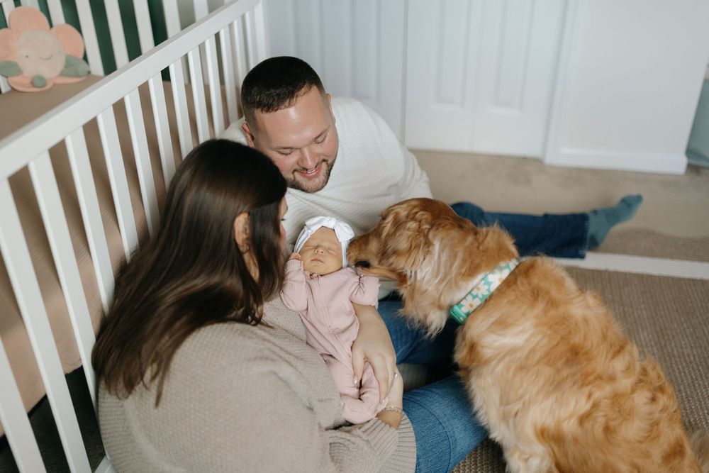 A golden retriever dog interacts with a couple sitting on the floor in their living room.