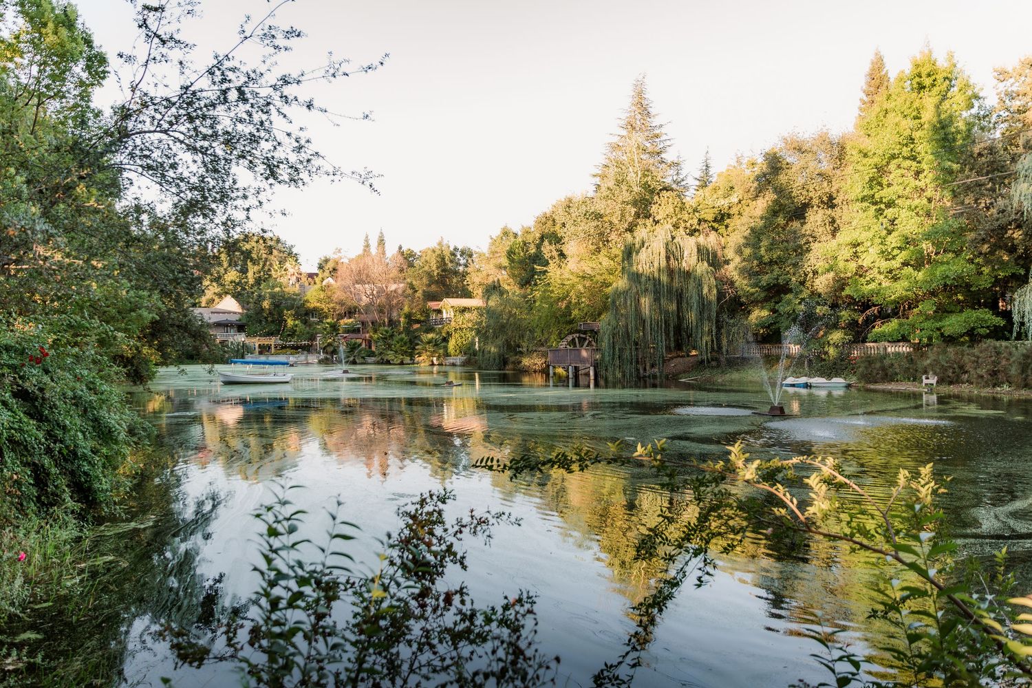Serene park lake surrounded by autumn trees reflecting in still water during golden hour.