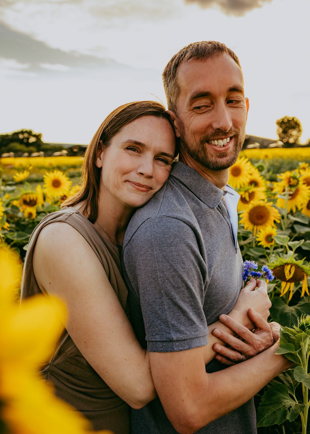 Sunflower field