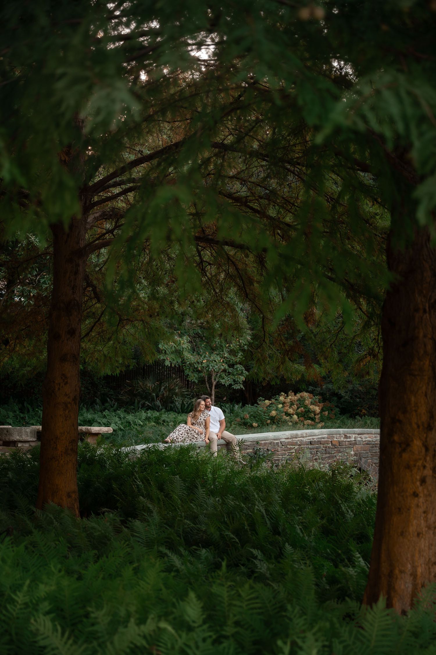 Long distance view of couple sitting on stone wall surrounded by evergreen trees.