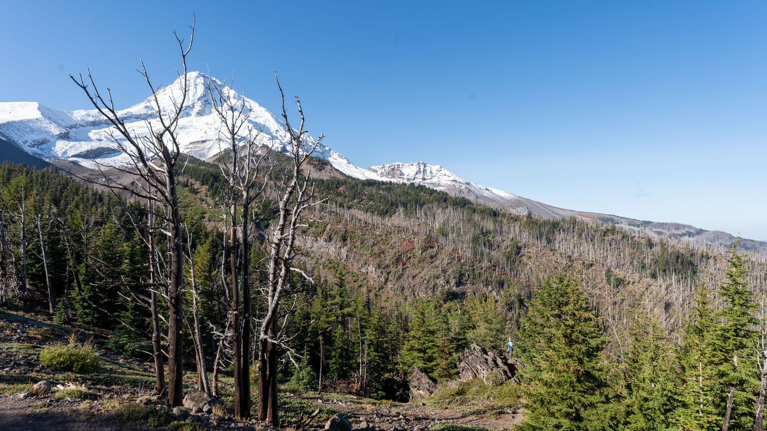 Photo of Mt. Hood, Oregon taken by photographer Chris Brecht. Snow. Pine trees. Mt. Hood National Forest.