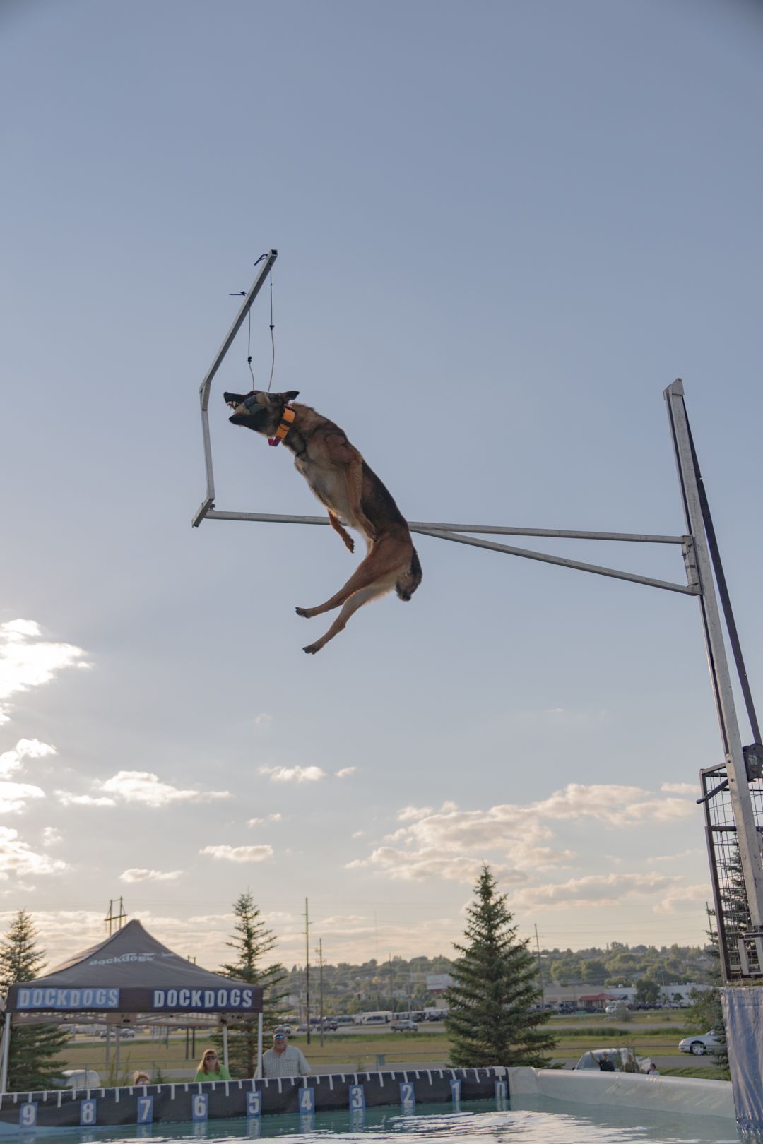 A dog performs an impressive high jump over an agility bar against a cloudy sky with trees in the background.
