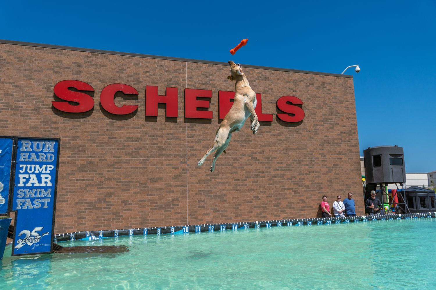 A person practices surfing on a wave simulator machine with blue water and a brick building in the background.