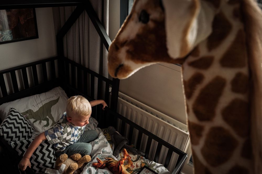 Toy dinosaurs stand next to a red and white striped play tunnel in a dimly lit room.