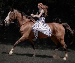 Sequence of action shots showing a chestnut horse galloping and bucking at an equestrian event.