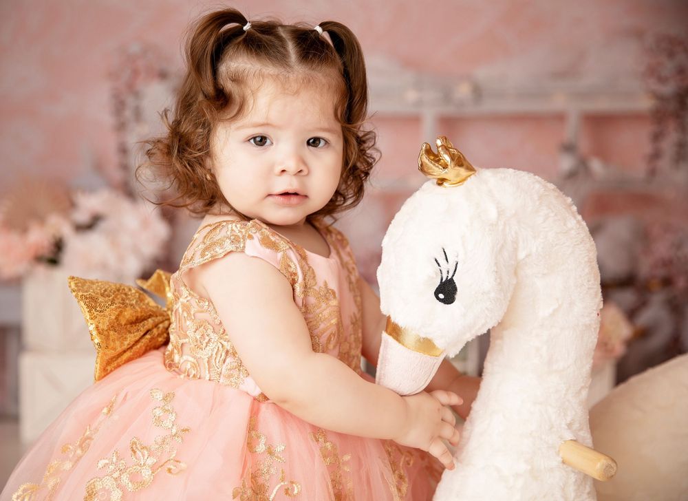 Chicago Photographer
Family Photographer  
Chicago Family Photographer  
Sandra Rodriguez Photography
