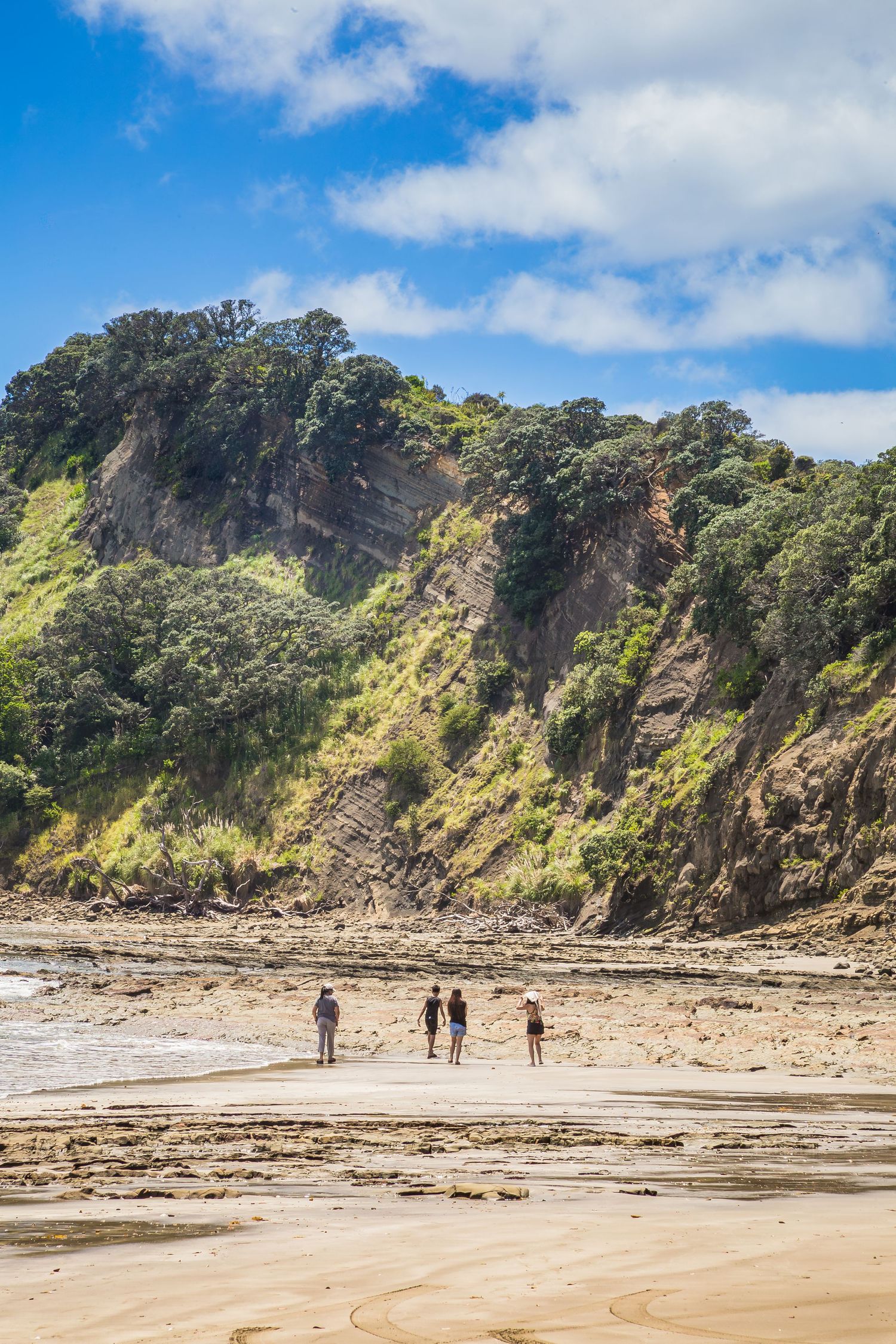 Hikers walk along a scenic rocky beach with steep cliffs and lush vegetation on a sunny day in New Zealand.