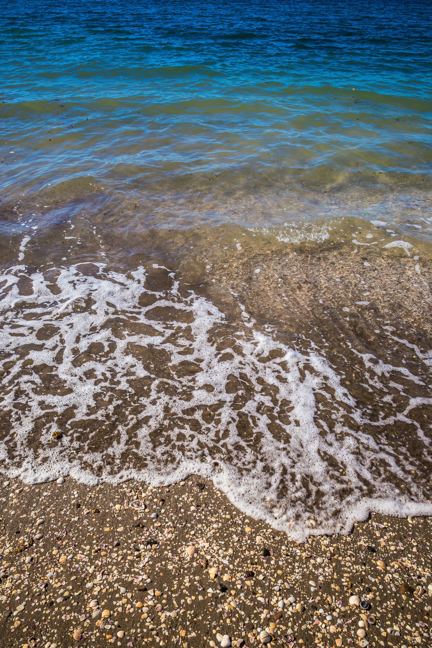 Clear blue ocean waves gently rolling onto a sandy beach covered in small pebbles and shells.