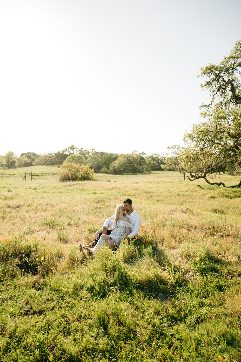 Couple sitting together in a sunlit green meadow, sharing a tender moment surrounded by lush grass and trees.
