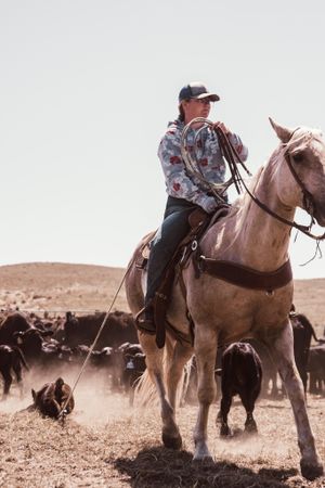 Rider on horseback herding cattle across dusty ranch terrain.