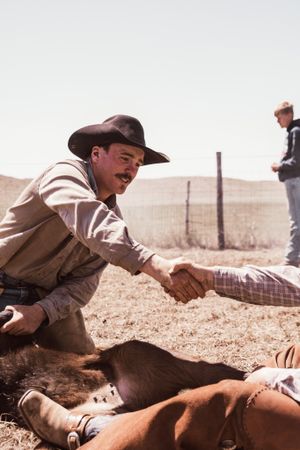 Cowboy working with cattle on a ranch during branding and roping activities.