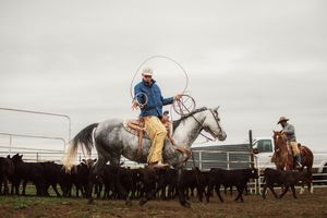 Cowboy performs lasso rope tricks while riding a horse during a western ranching demonstration.