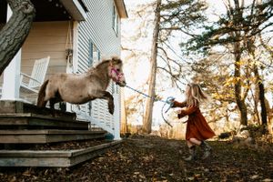 A miniature horse stands on wooden stairs as a person in red approaches.