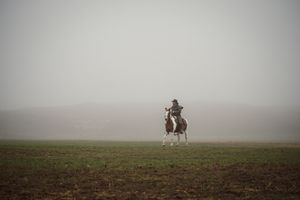 Silhouettes of horse riders traverse a misty hillside landscape at dawn.