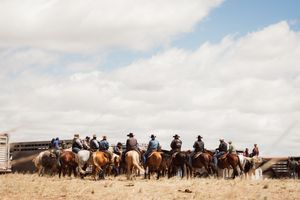 Cowboys on horseback gather during a cattle drive across open plains beneath cloudy skies.