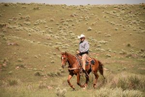 A lone rider on horseback traverses the rugged grasslands of a rolling prairie landscape under an open sky.