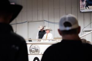 An auction taking place in a rural livestock sale barn.