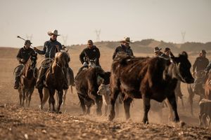 Cowboys on horseback herd black cattle across a dusty open range in a rugged western landscape.
